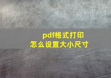 pdf格式打印怎么设置大小尺寸