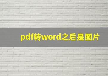 pdf转word之后是图片