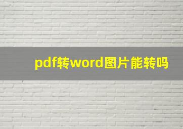 pdf转word图片能转吗