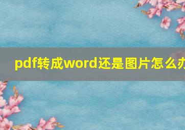 pdf转成word还是图片怎么办