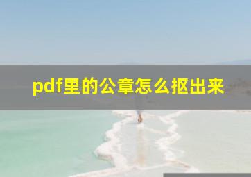 pdf里的公章怎么抠出来