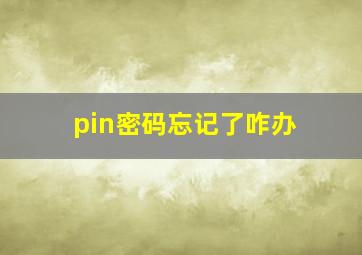 pin密码忘记了咋办