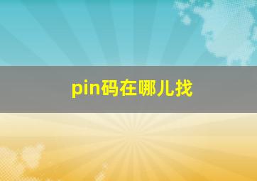 pin码在哪儿找