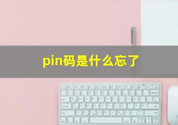 pin码是什么忘了