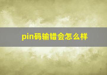 pin码输错会怎么样