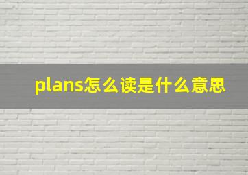 plans怎么读是什么意思