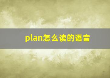 plan怎么读的语音