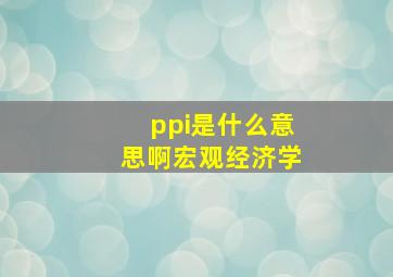 ppi是什么意思啊宏观经济学