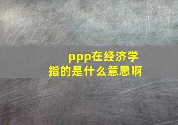 ppp在经济学指的是什么意思啊