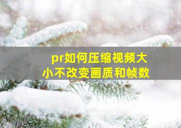 pr如何压缩视频大小不改变画质和帧数