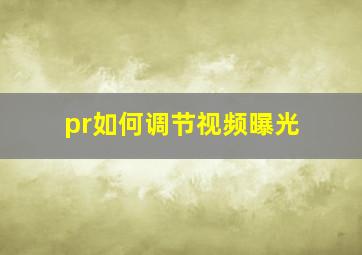 pr如何调节视频曝光