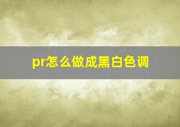 pr怎么做成黑白色调