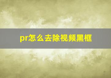 pr怎么去除视频黑框