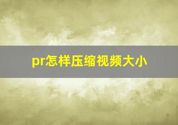 pr怎样压缩视频大小