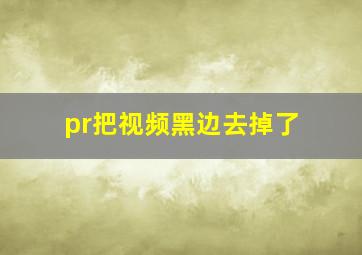 pr把视频黑边去掉了