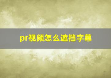 pr视频怎么遮挡字幕