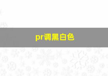 pr调黑白色