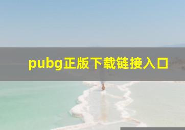 pubg正版下载链接入口