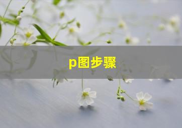 p图步骤