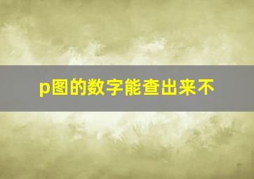 p图的数字能查出来不