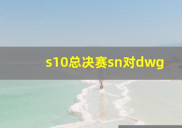 s10总决赛sn对dwg