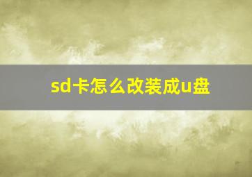 sd卡怎么改装成u盘