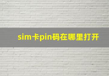 sim卡pin码在哪里打开