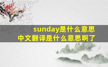 sunday是什么意思中文翻译是什么意思啊了