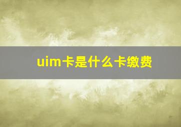 uim卡是什么卡缴费