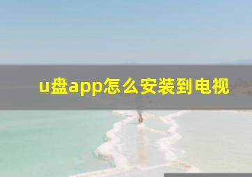 u盘app怎么安装到电视