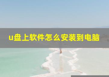 u盘上软件怎么安装到电脑