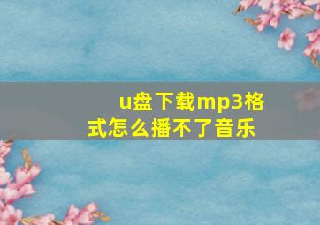 u盘下载mp3格式怎么播不了音乐