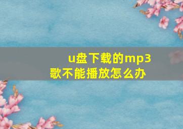 u盘下载的mp3歌不能播放怎么办