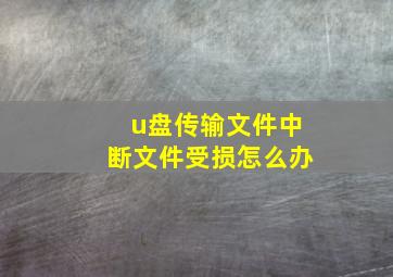 u盘传输文件中断文件受损怎么办