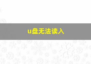 u盘无法读入