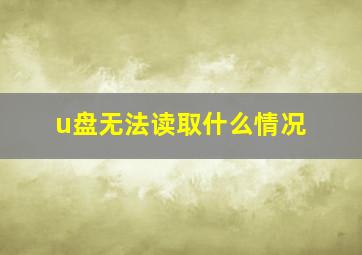 u盘无法读取什么情况