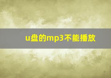 u盘的mp3不能播放