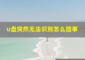 u盘突然无法识别怎么回事