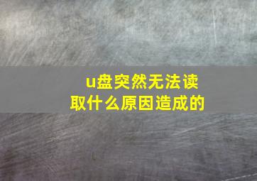 u盘突然无法读取什么原因造成的