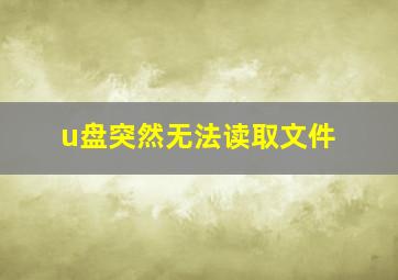 u盘突然无法读取文件