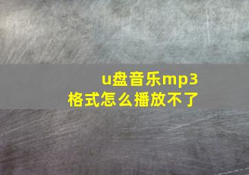 u盘音乐mp3格式怎么播放不了