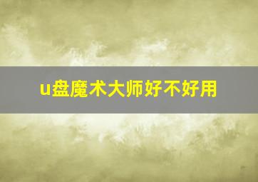 u盘魔术大师好不好用