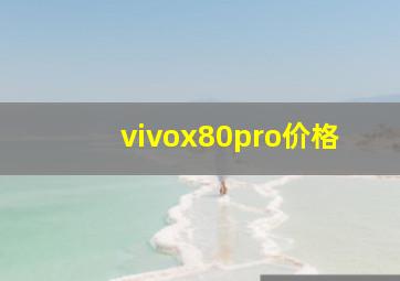 vivox80pro价格