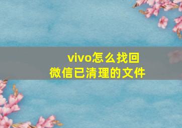 vivo怎么找回微信已清理的文件