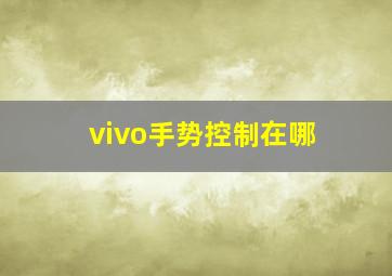 vivo手势控制在哪