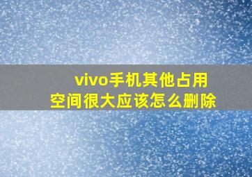 vivo手机其他占用空间很大应该怎么删除