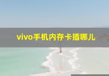 vivo手机内存卡插哪儿