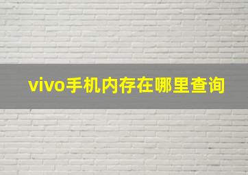 vivo手机内存在哪里查询