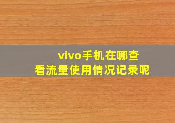 vivo手机在哪查看流量使用情况记录呢