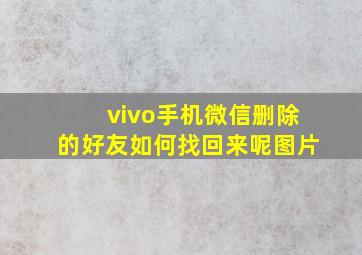 vivo手机微信删除的好友如何找回来呢图片